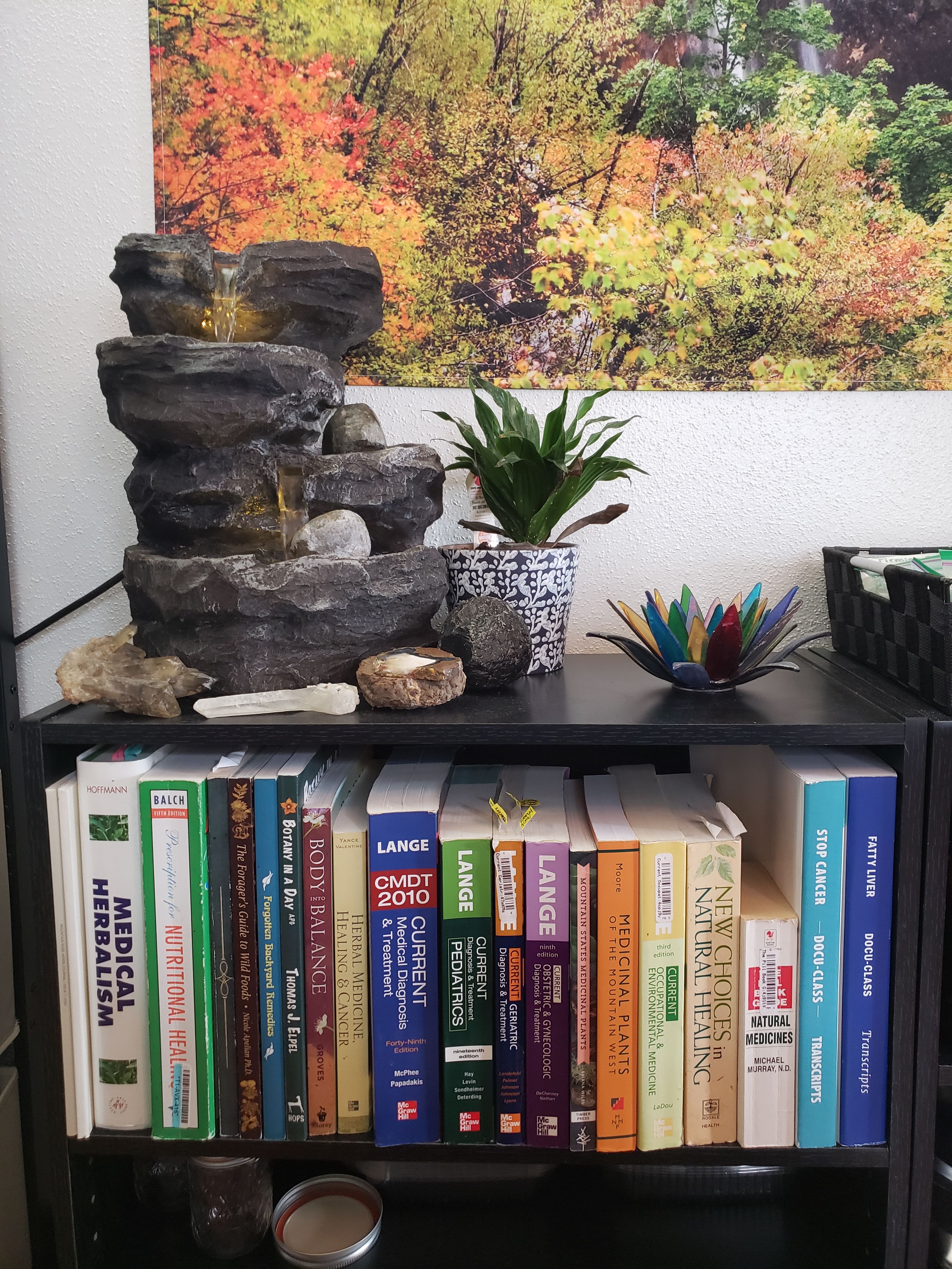 Bookcase of reference materials